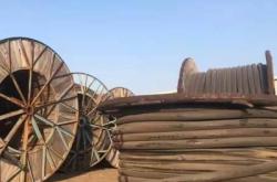 赤峰回收雞蛋殼電話地址查詢