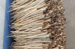 赤峰康美藥業(yè)負責人電話號碼