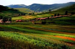 赤峰市松山農(nóng)電局電話號碼