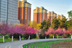 赤峰市面子王飯店地址電話號碼