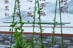 赤峰摩爾城攀爬架廠家電話號碼