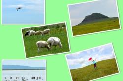 赤峰伊貝月餅店電話號(hào)碼查詢