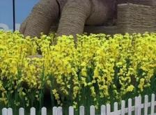 赤峰摩爾城撿狗電話多少號