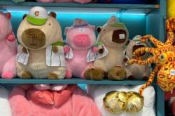 赤峰市娃娃屋電話號碼查詢