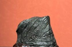 赤峰白馬紋繡店電話號碼多少