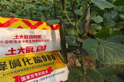 赤峰肥料水溶肥廠家電話號碼