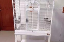 內(nèi)蒙古赤峰寵物市場(chǎng)電話號(hào)碼