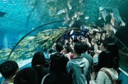 赤峰市海底樂園地址電話號碼