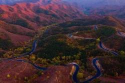 赤峰風(fēng)景區(qū)毛驢肉館電話號碼