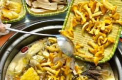 赤峰蕎面殼批發(fā)商電話號(hào)碼