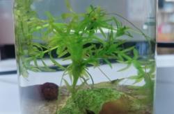 赤峰二手小魚(yú)缸出售電話(huà)號(hào)碼