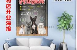 赤峰寵物店優(yōu)惠活動(dòng)電話號(hào)碼