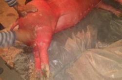 赤峰附近活?，F(xiàn)殺廠電話(huà)號(hào)碼