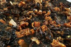 赤峰蘿卜種子公司電話號碼