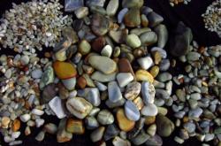 赤峰古玩城浴池電話號碼多少