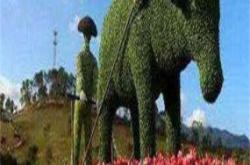 赤峰綠雕制作供應(yīng)商電話號碼