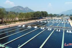 赤峰市鱘魚養(yǎng)殖場(chǎng)電話號(hào)碼