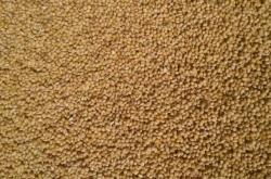 赤峰黑頂膜加工廠電話號碼