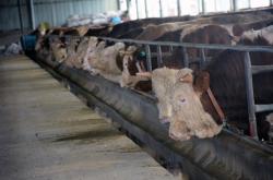 赤峰松山區(qū)大型超市