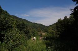 赤峰官倉溝車管所電話號碼