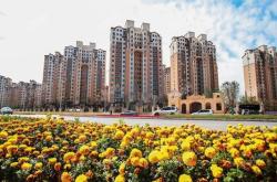 赤峰百合煙花代理電話地址查詢