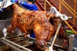 赤峰收木炭商家電話是多少號