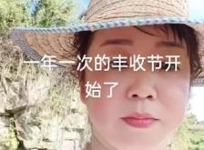 赤峰市收谷子的公司電話號碼