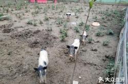 赤峰市泥巴樂園地址電話號(hào)碼