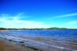 赤峰玉龍植物園電話號碼多少