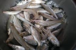 赤峰市錦山釣魚地點(diǎn)電話號(hào)碼