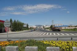 赤峰市大板鎮(zhèn)收活豬電話號碼