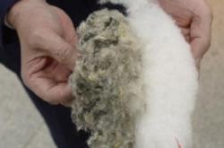 赤峰回收黑心棉的電話號(hào)碼