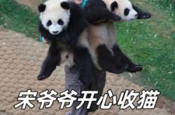 赤峰收養(yǎng)貓咪電話多少號(hào)碼