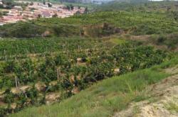 赤峰市東郊采摘園地址電話號碼