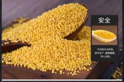 赤峰糧油市場(chǎng)批發(fā)電話號(hào)碼是多少