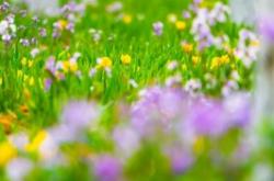 赤峰花火網(wǎng)吧電話號碼多少號