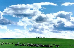 赤峰射箭訓(xùn)練基地電話多少號