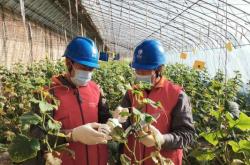 赤峰拼車到灤平電話多少號(hào)