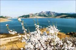 赤峰寧城寵物店電話號碼多少