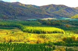 赤峰烏丹摩托艇駕校電話號(hào)碼