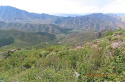 赤峰老府采蘑菇電話(huà)號(hào)碼查詢(xún)