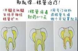 赤峰蛀牙補(bǔ)牙團(tuán)購(gòu)電話號(hào)碼查詢(xún)