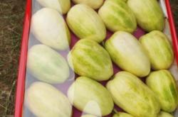 赤峰賣香瓜的地方電話號(hào)碼是多少