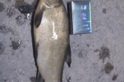 赤峰水庫魚直銷店電話地址查詢