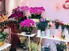 赤峰花田花藝店電話多少號