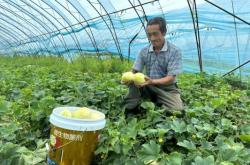 赤峰紅山水果種植基地電話號(hào)碼