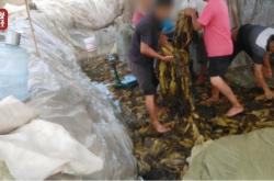 赤峰酸菜加工廠電話號碼查詢