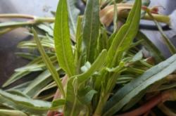 赤峰收購草捆的電話號碼是多少