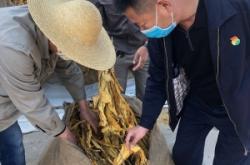 赤峰煙葉復(fù)烤廠電話號(hào)碼查詢