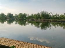 赤峰林東地膜廠電話多少號